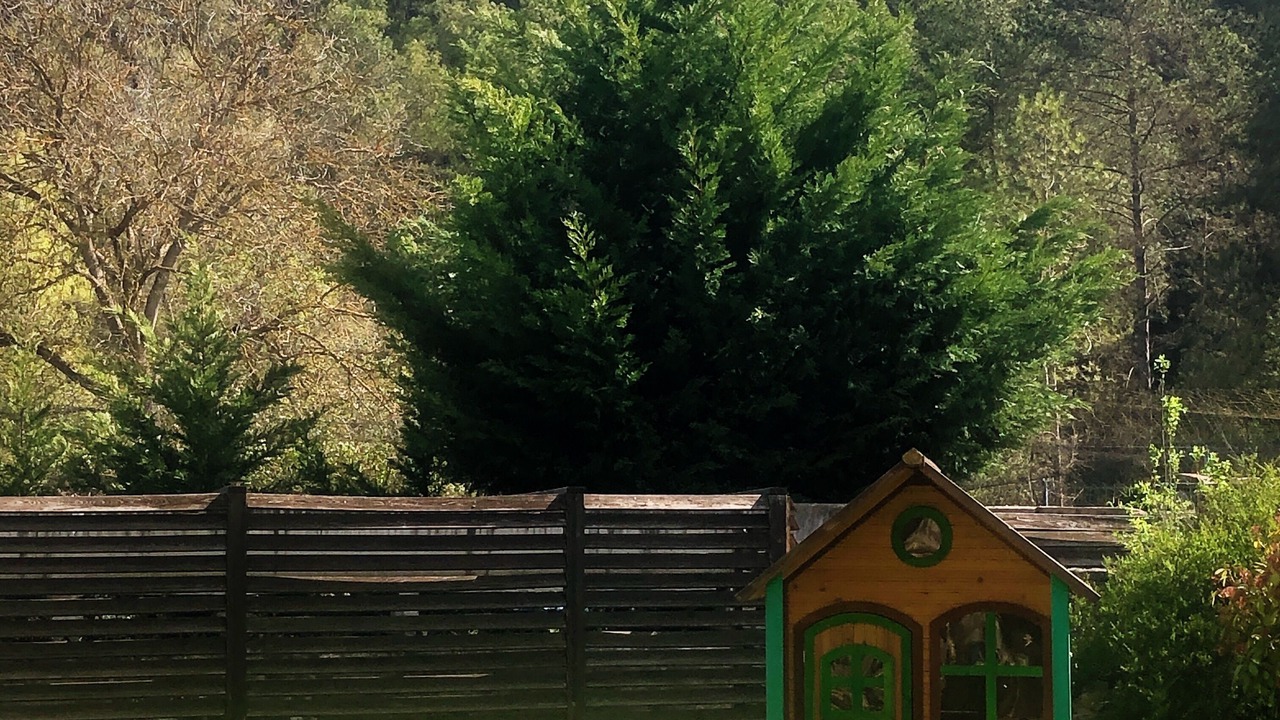 Photo of Outdoor in La Baronia de Rialb