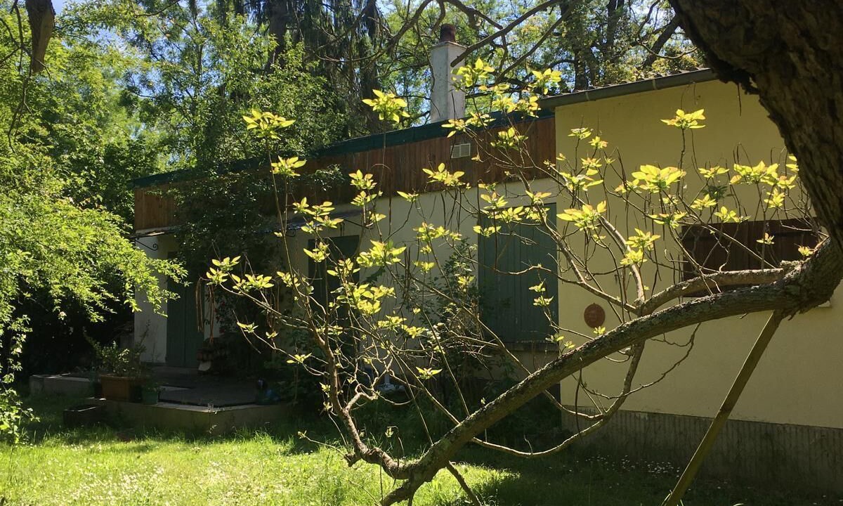 Photo of Outdoor in Vaas