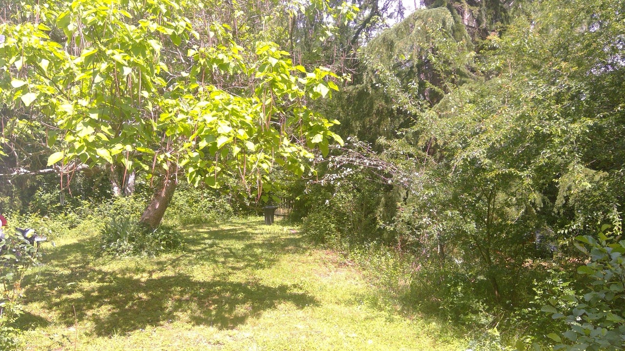 Photo of Outdoor in Vaas
