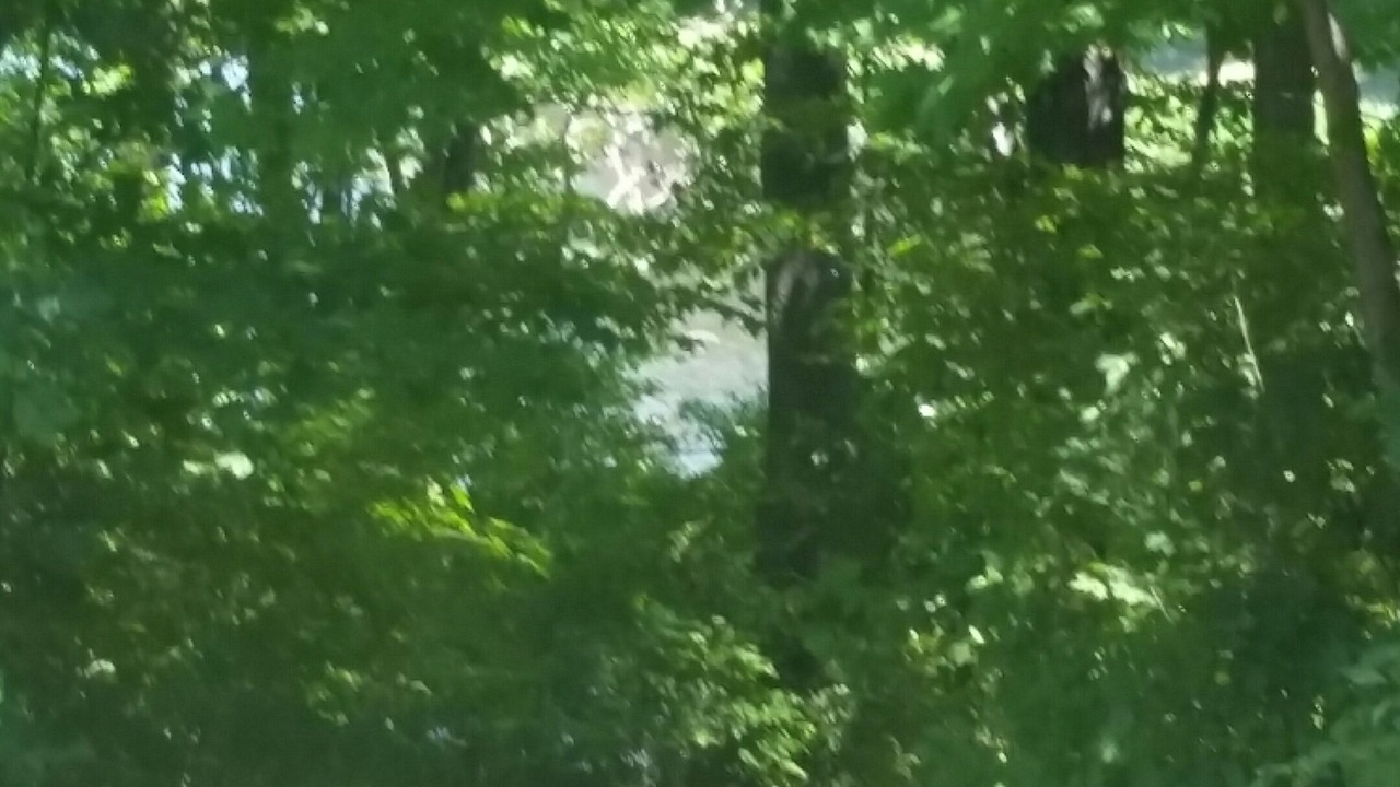 Photo of Outdoor in Millerton