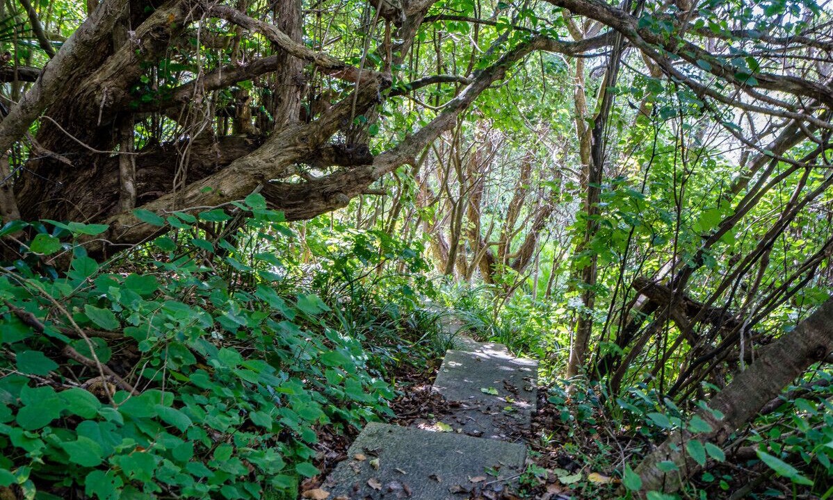 Photo of Outdoor in Langs Beach