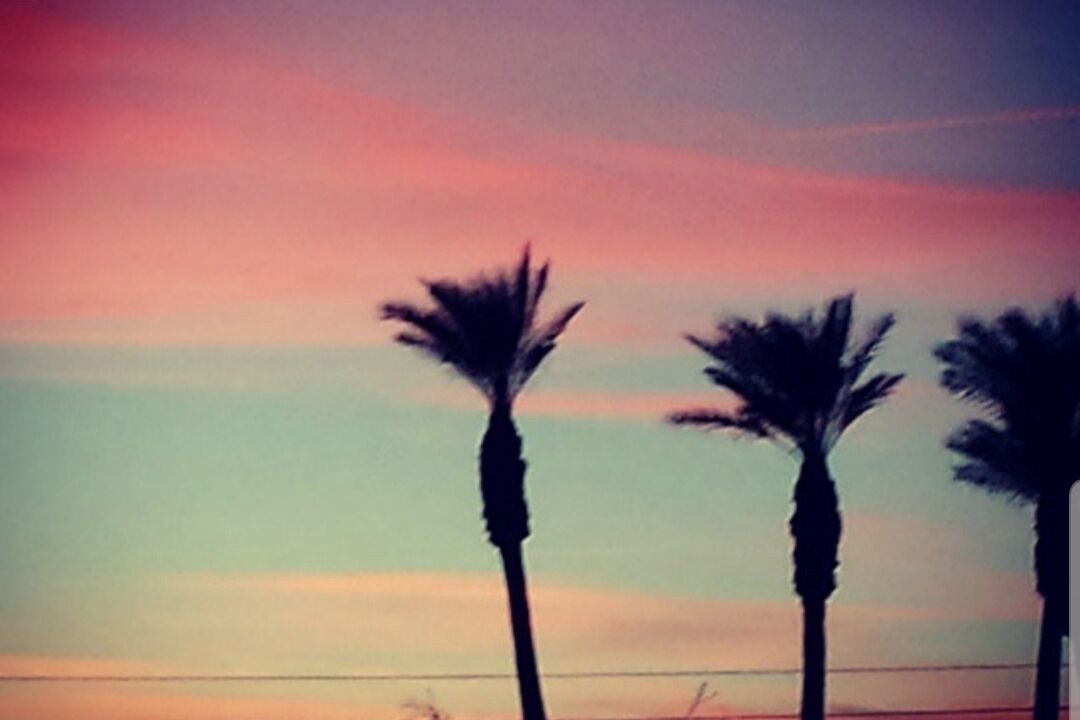Photo of Others in Bullhead City