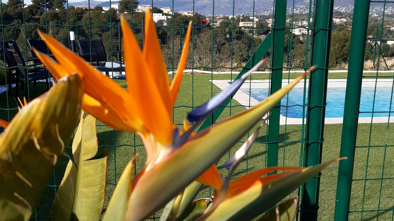 Photo of Outdoor in Montaleigne