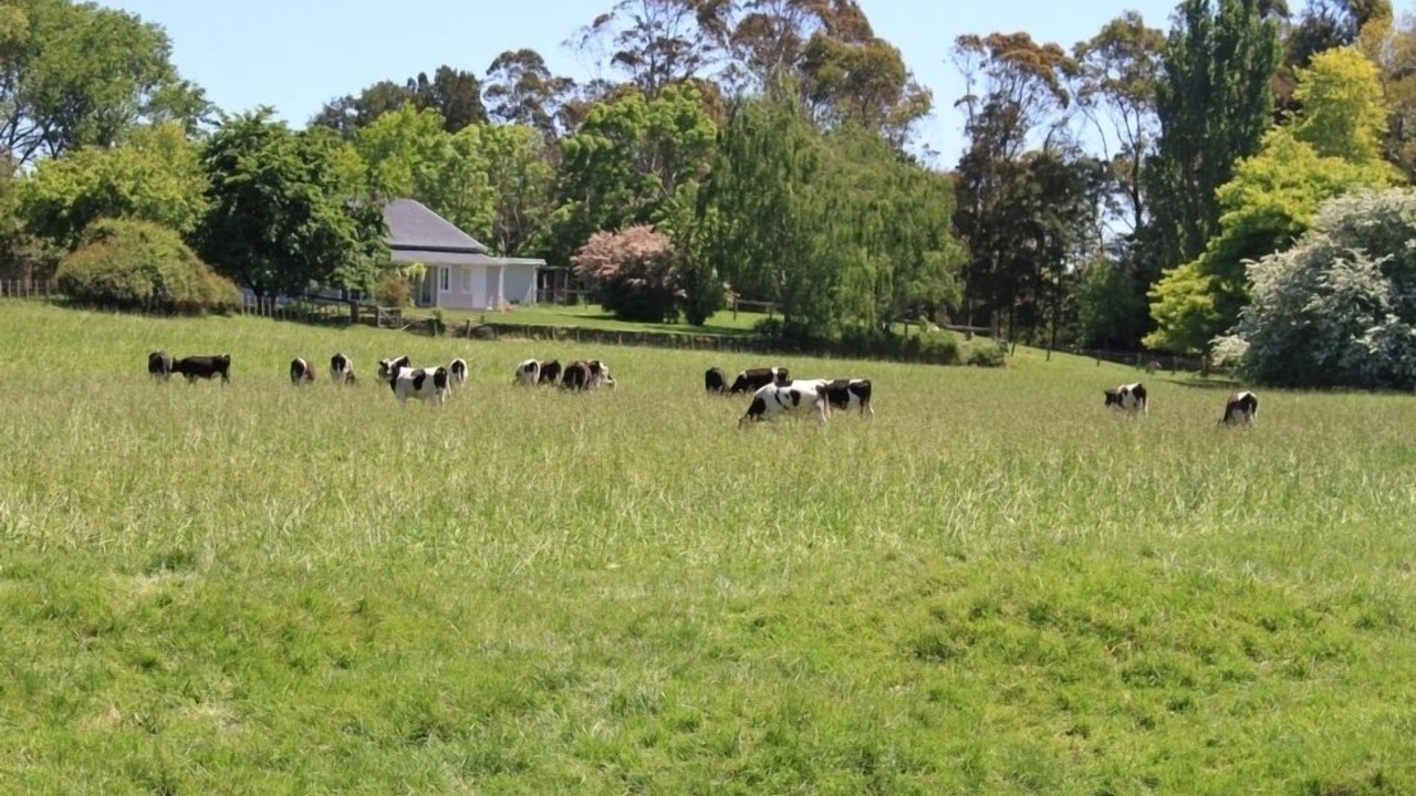 Photo of Others in Halcombe