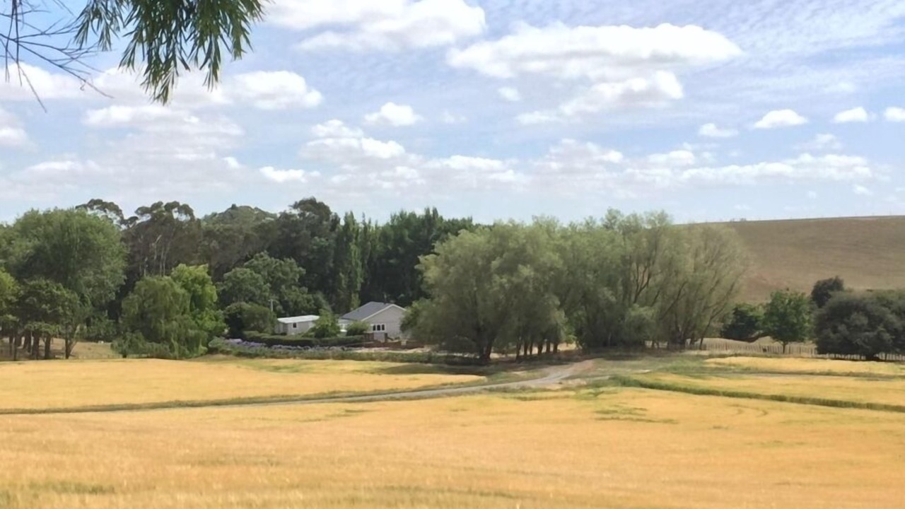 Photo of Others in Halcombe