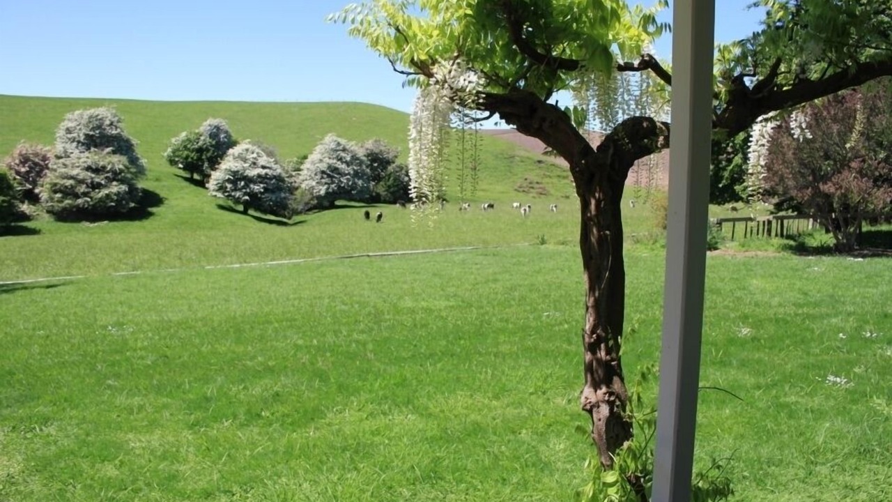 Photo of Others in Halcombe