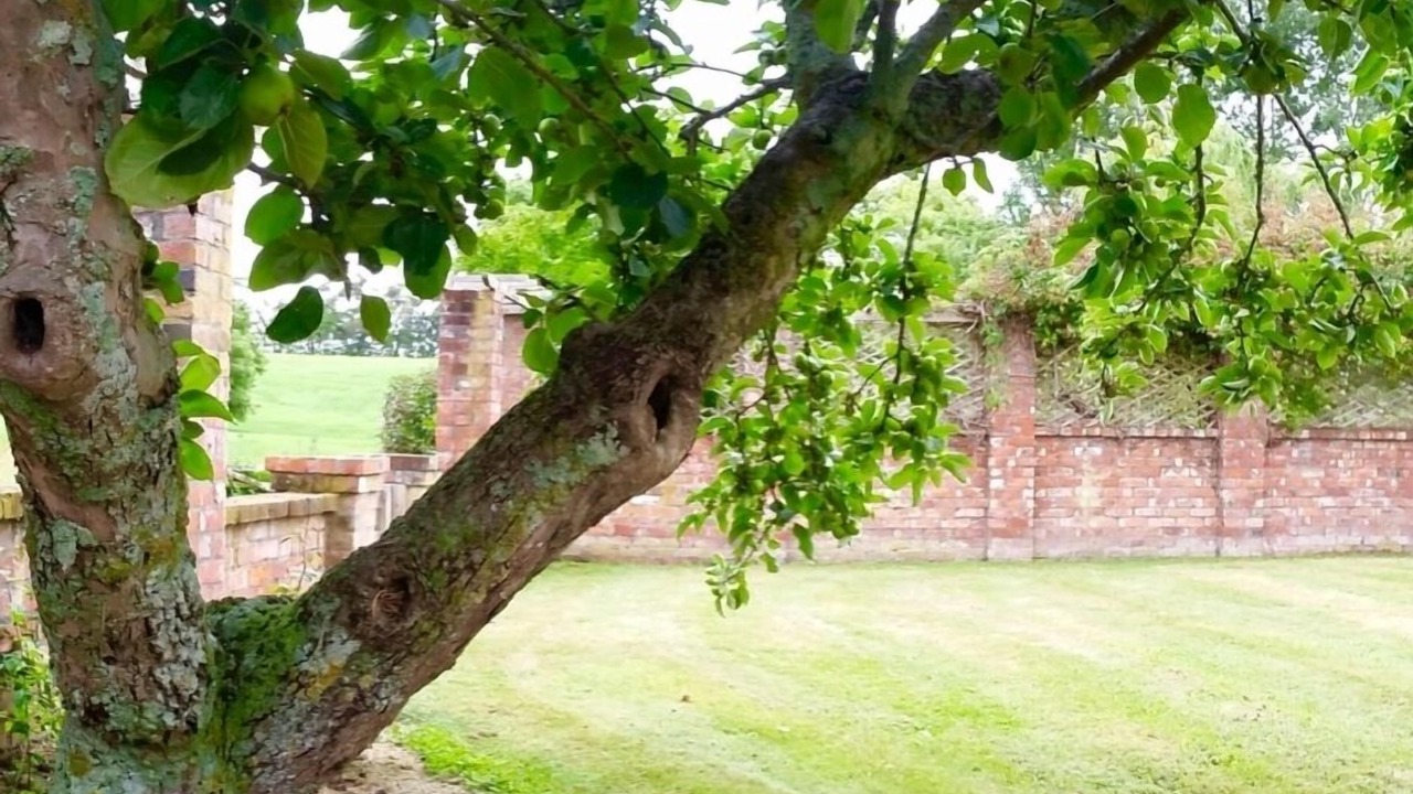 Photo of Outdoor in Halcombe