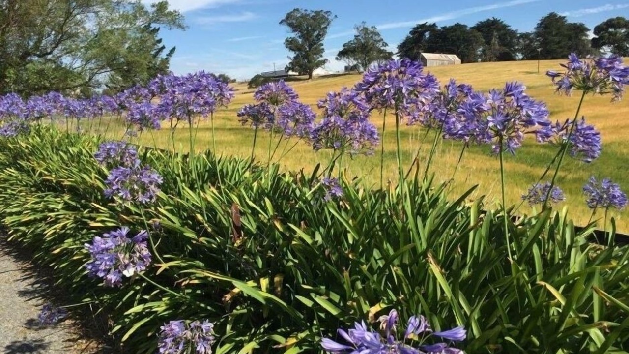 Photo of Others in Halcombe