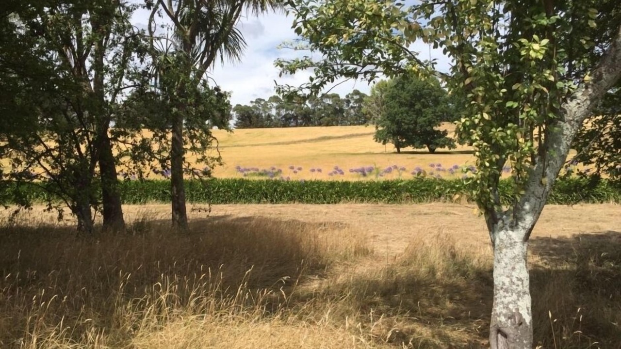 Photo of Others in Halcombe