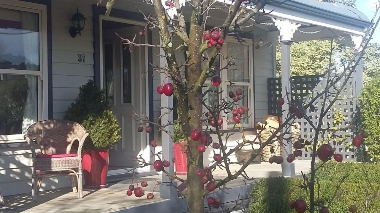 Photo of Others in Greytown