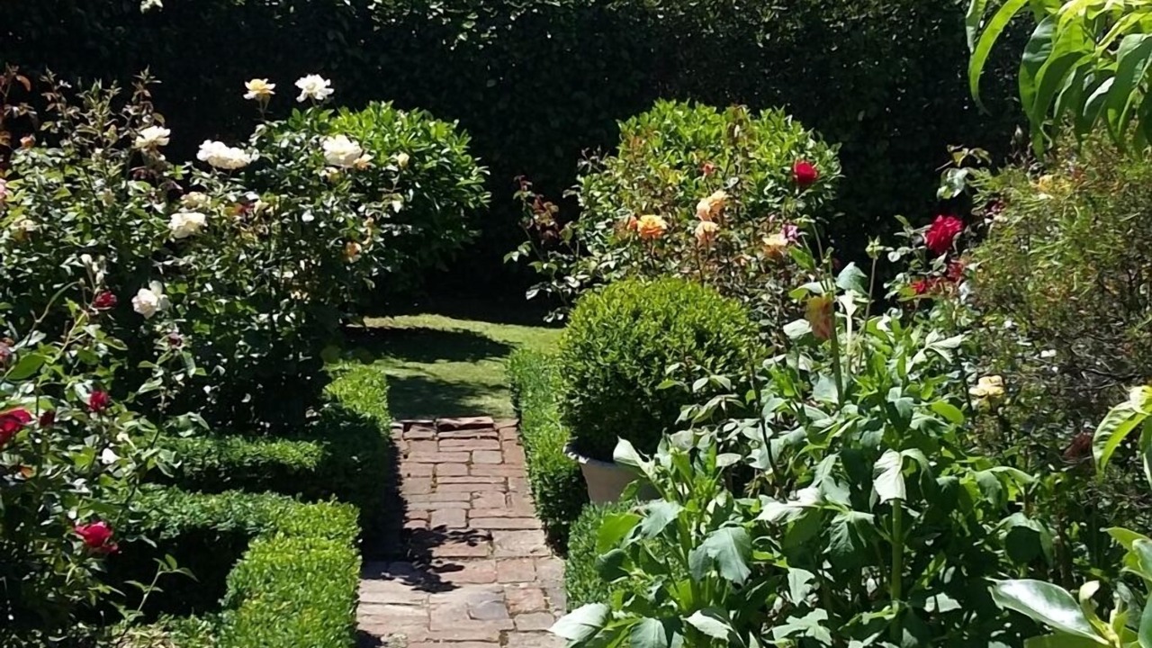 Photo of Others in Greytown