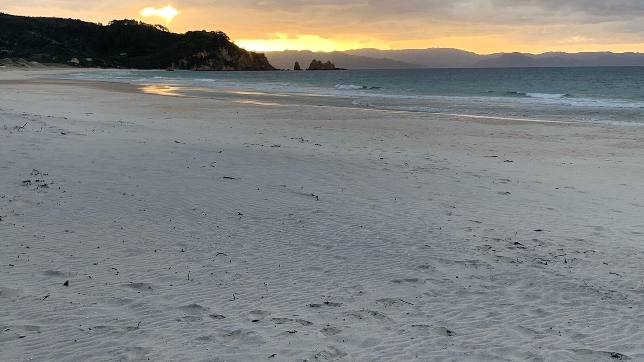 Photo of Others in Opito Bay