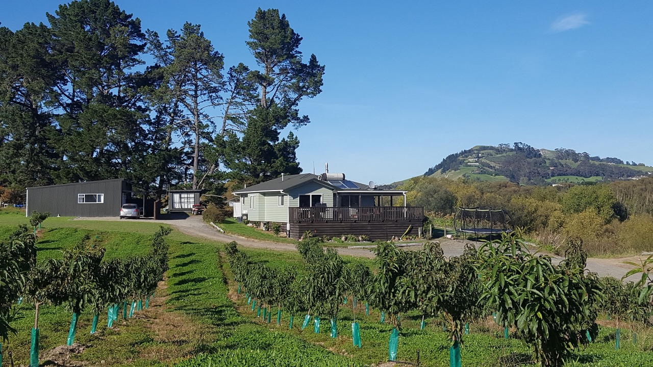 Photo of Others in Haumoana