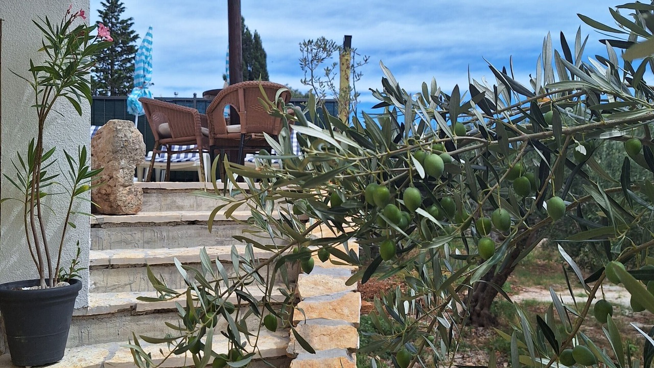 Photo of Outdoor in Skrip