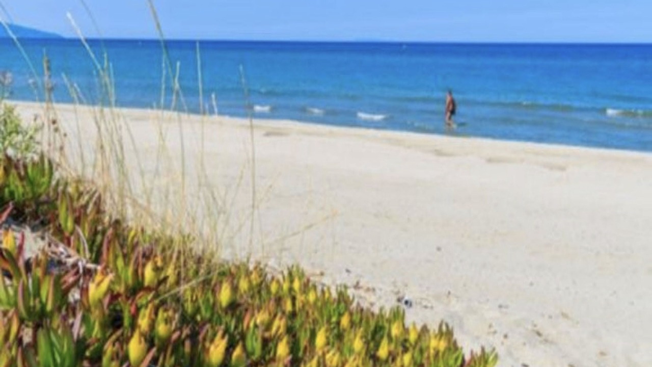 Photo of Others in Pineto