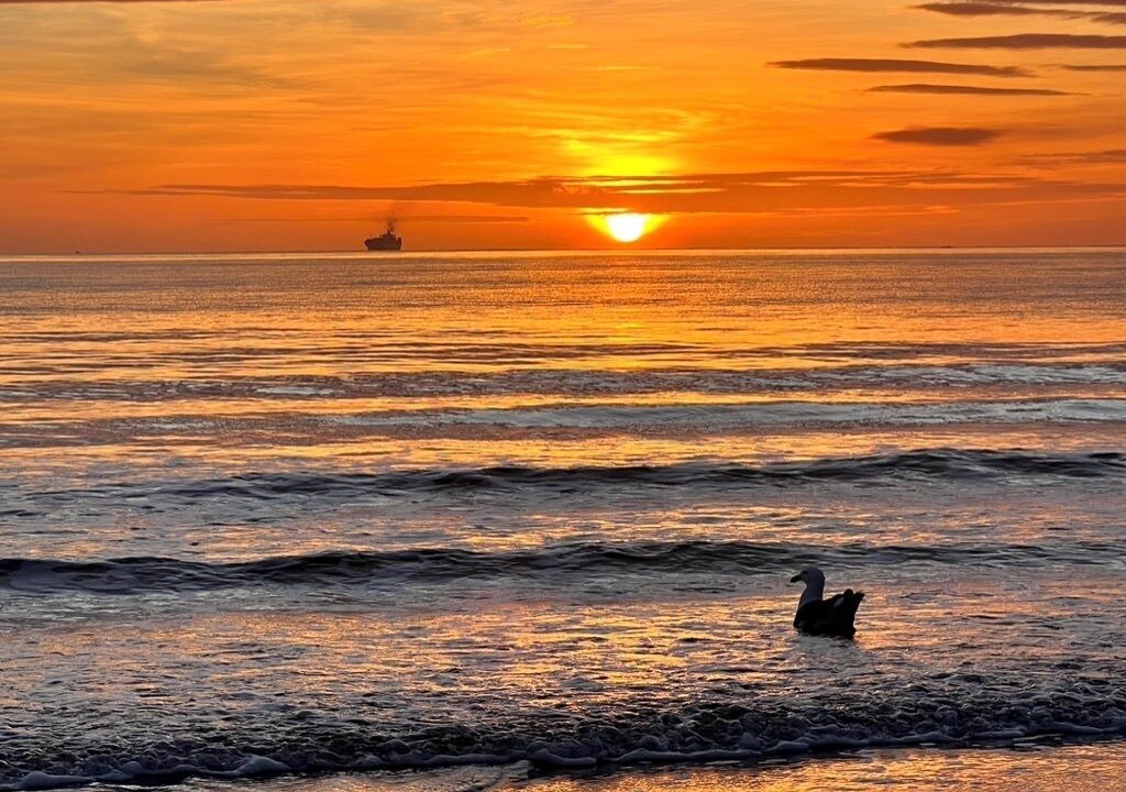 Photo of Others in Omanu