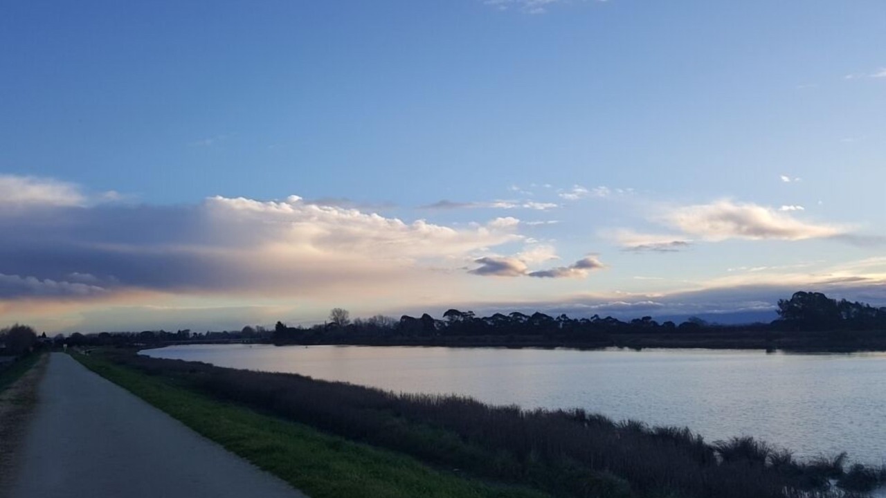 Photo of Others in Clive