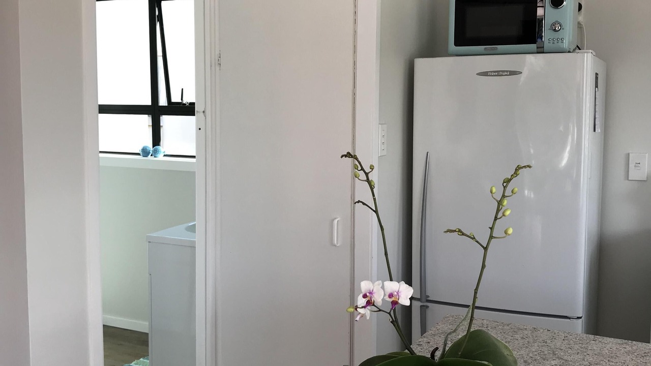 Photo of Others in Whitianga