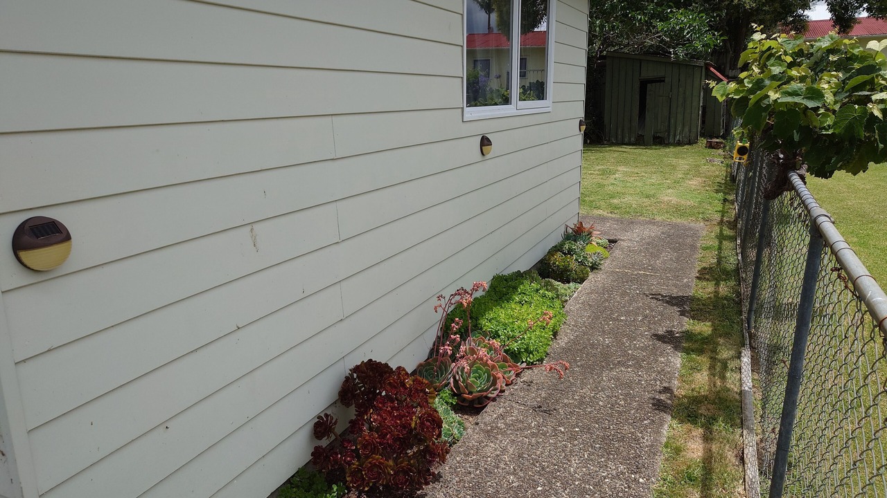 Photo of Outdoor in Whitianga