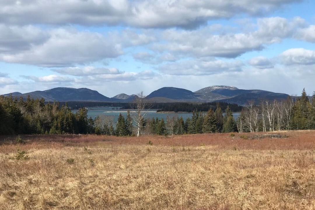 Photo of Others in Cranberry Isles