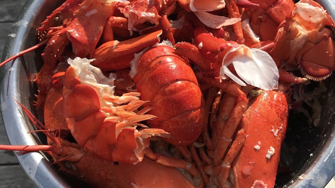 Photo of Others in Cranberry Isles