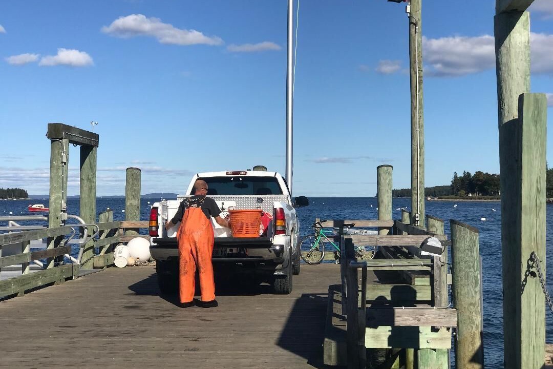 Photo of Others in Cranberry Isles