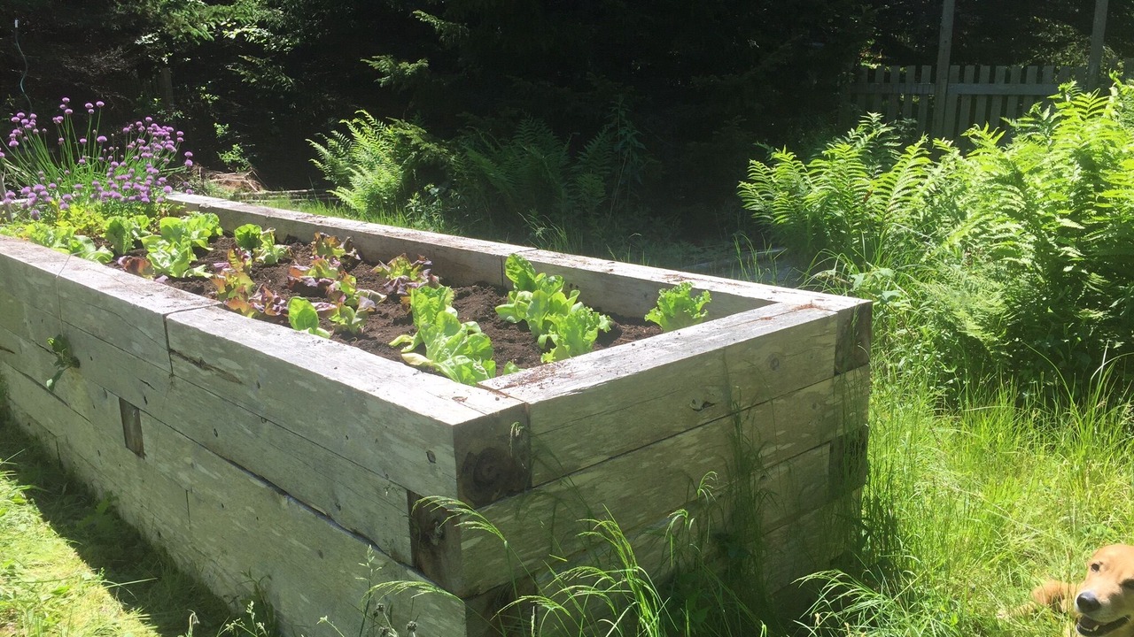 Photo of Others in Cranberry Isles