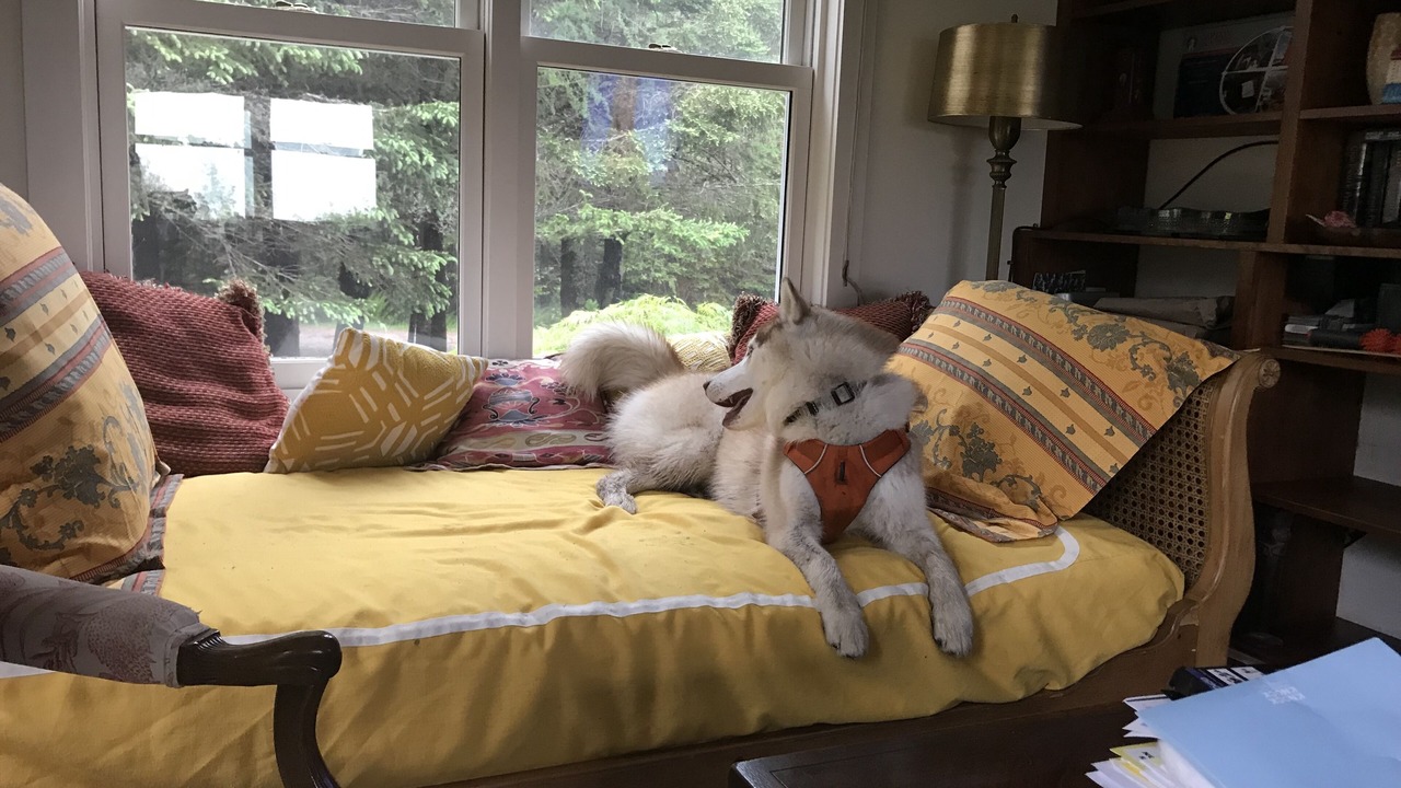 Photo of Outdoor in Cranberry Isles