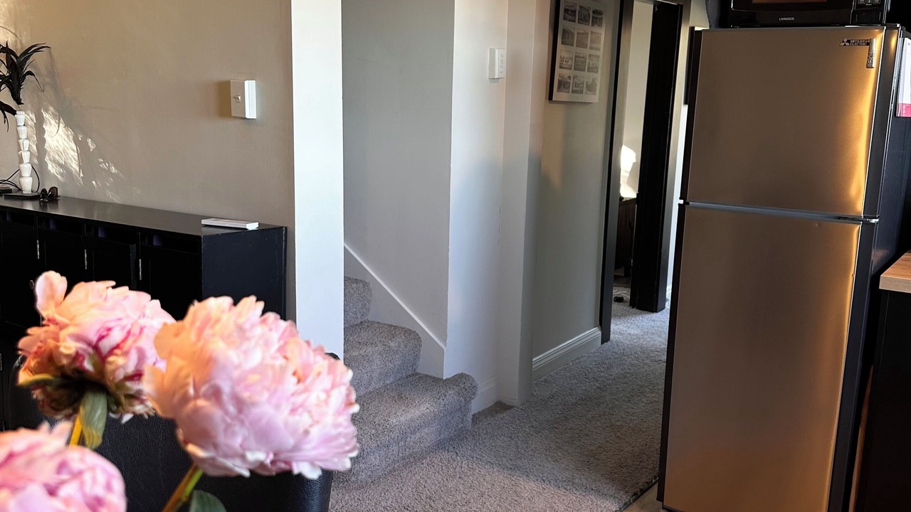 Photo of Others in Dunedin City Centre