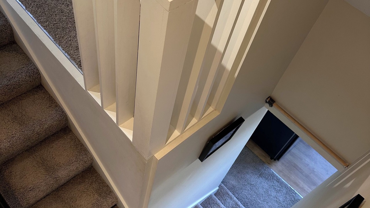 Photo of Others in Dunedin City Centre