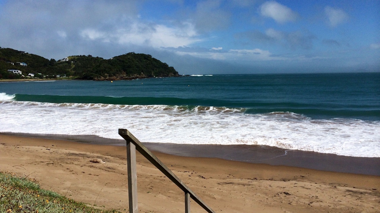 Photo of Others in Tutukaka