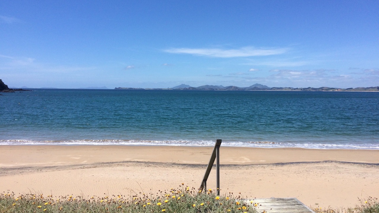 Photo of Others in Tutukaka