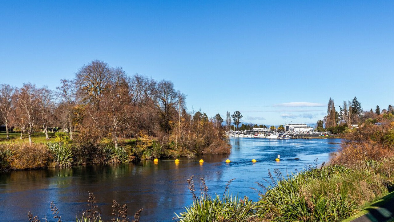 Photo of Others in Taupo
