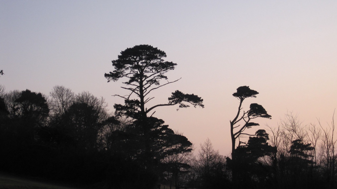 Photo of Others in Chillington