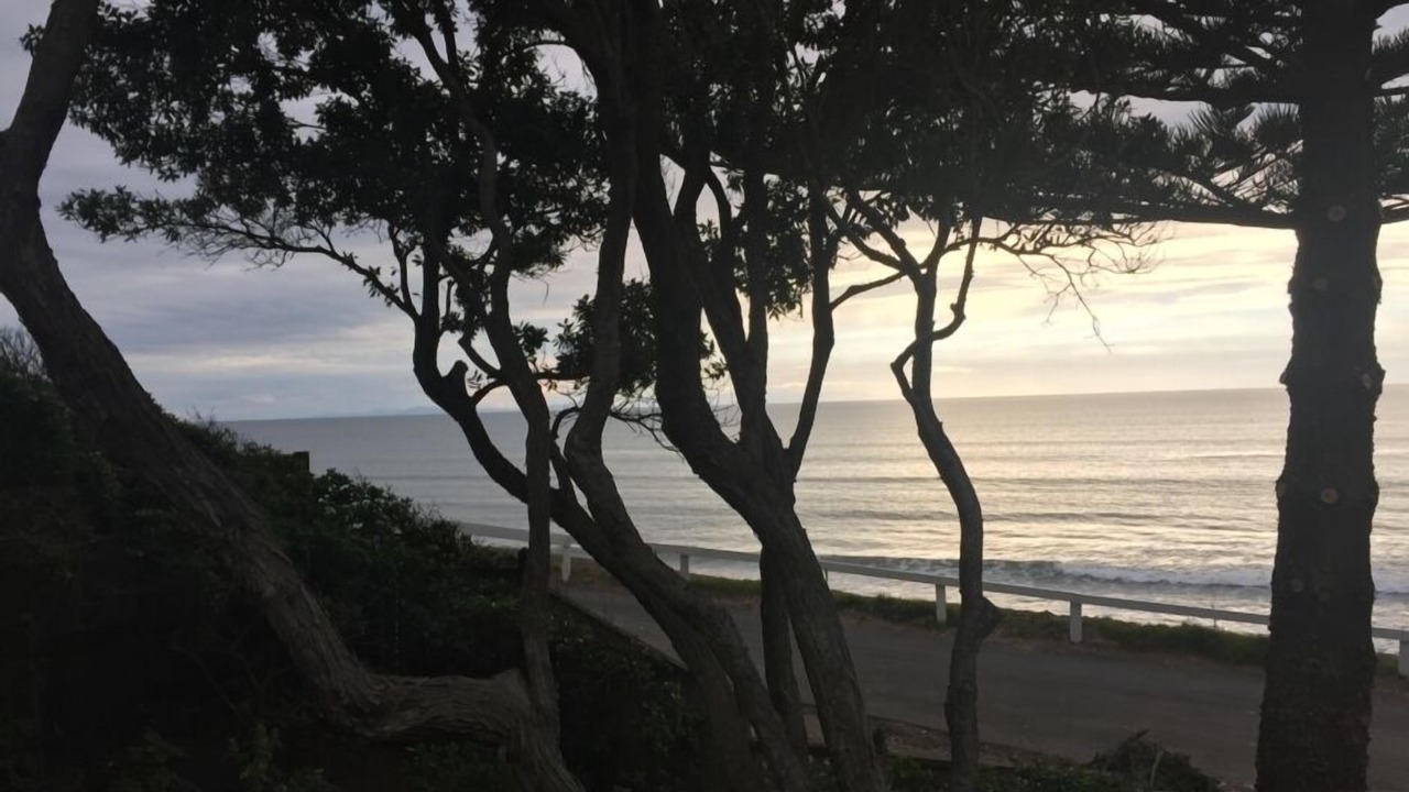 Photo of Others in Raumati South