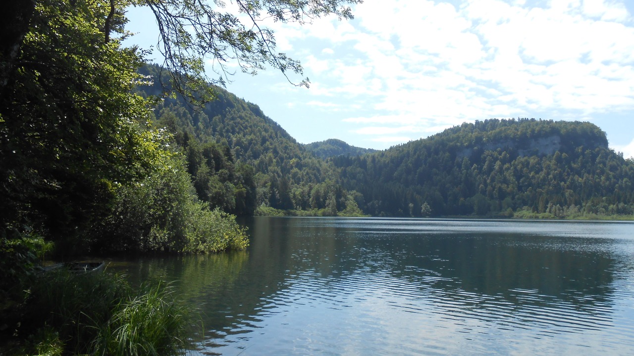 Photo of Others in Saint-Laurent-en-Grandvaux