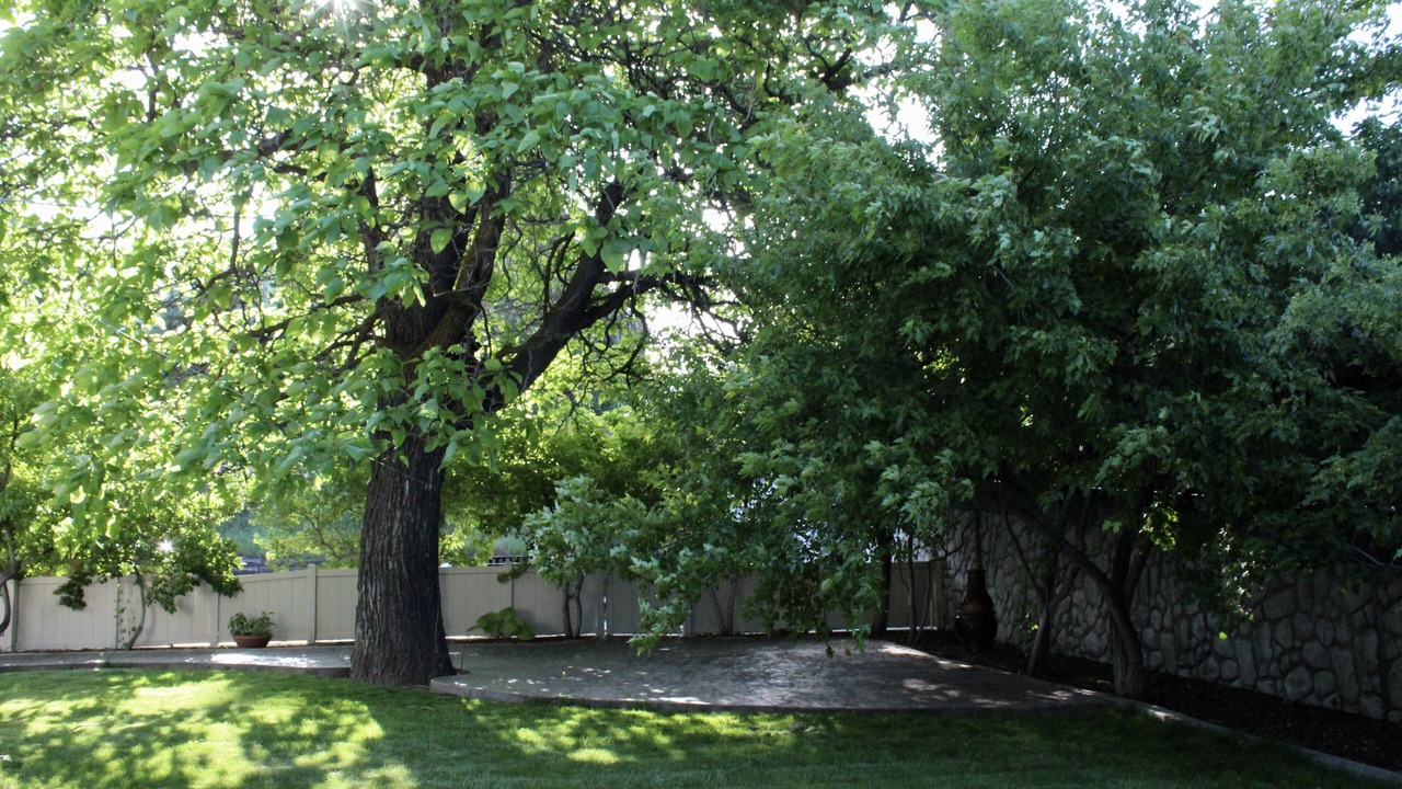 Photo of Outdoor in Cottonwood Heights