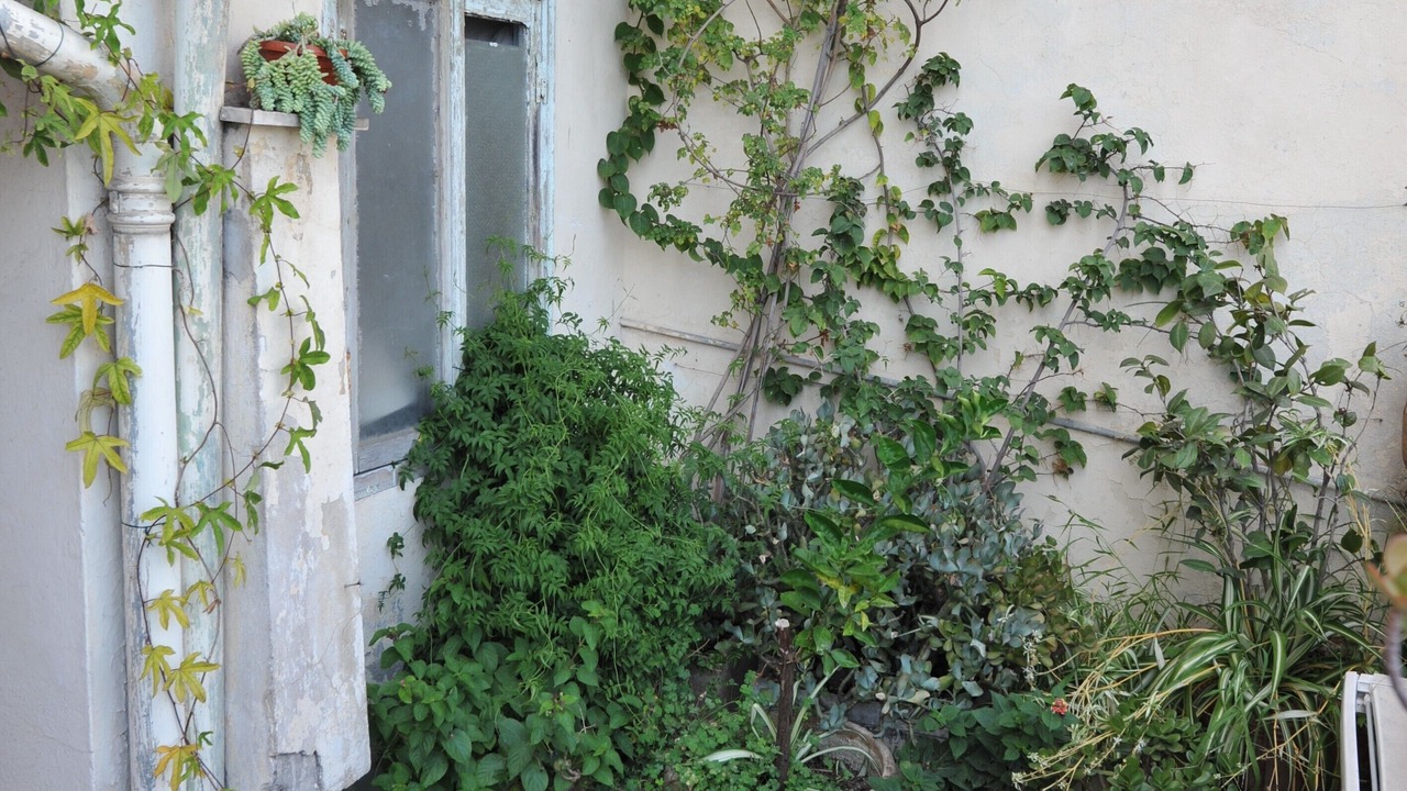 Photo of Outdoor in Menton