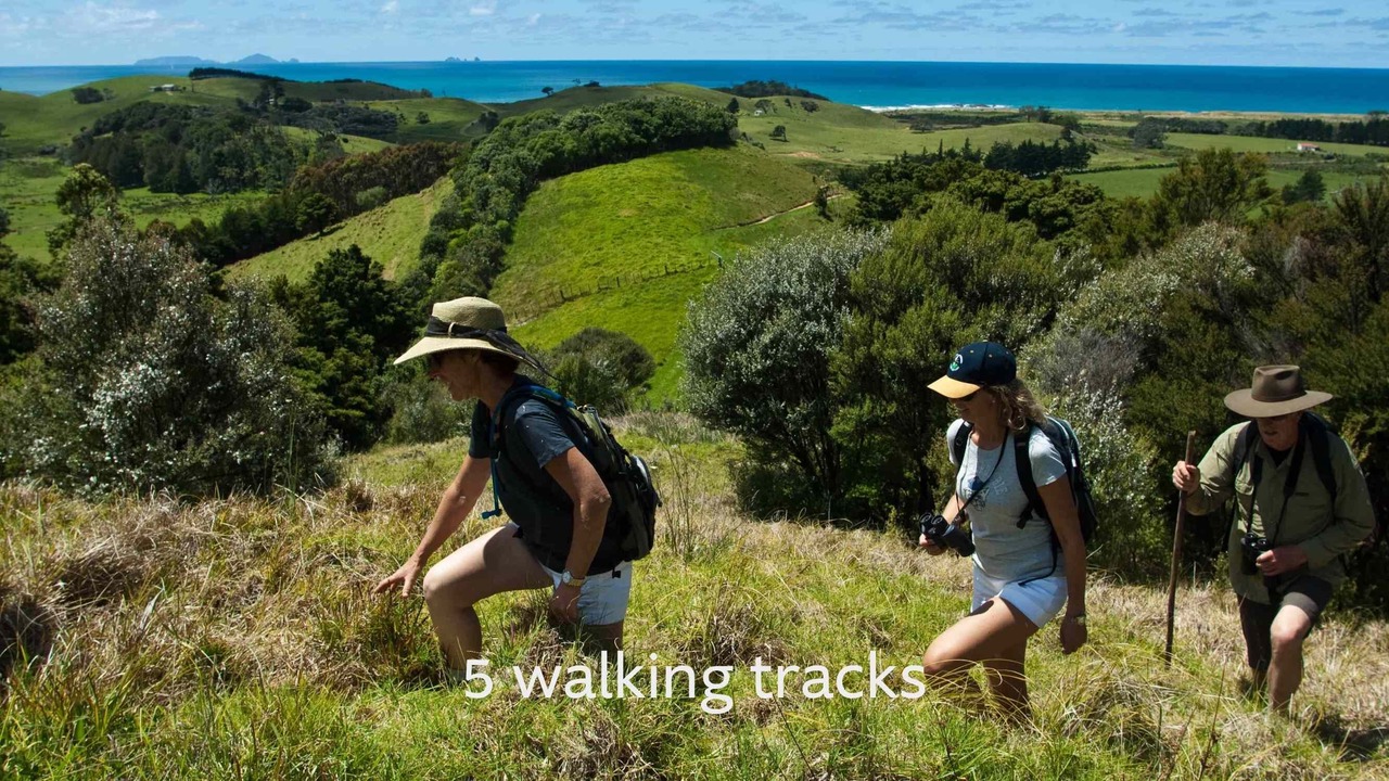 Photo of Others in Pataua North