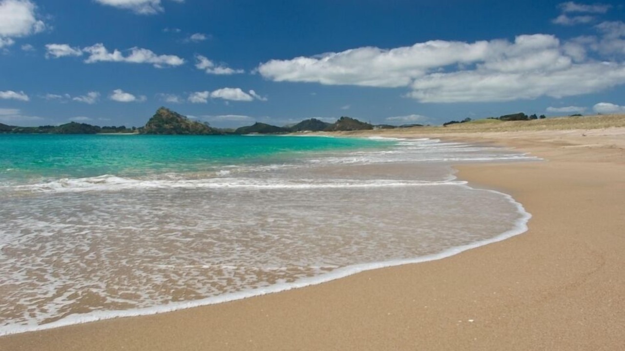 Photo of Others in Pataua North