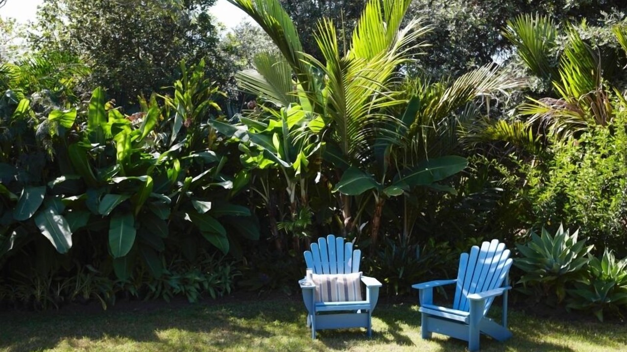 Photo of Outdoor in Pataua North