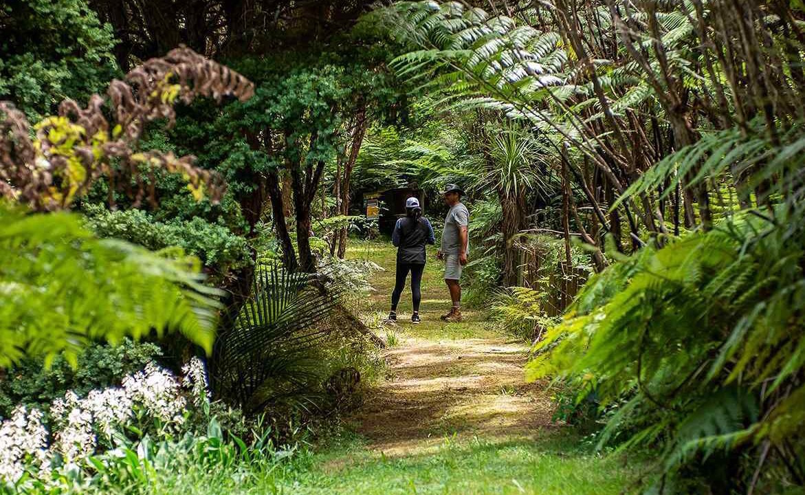 Photo of Outdoor in Pataua North