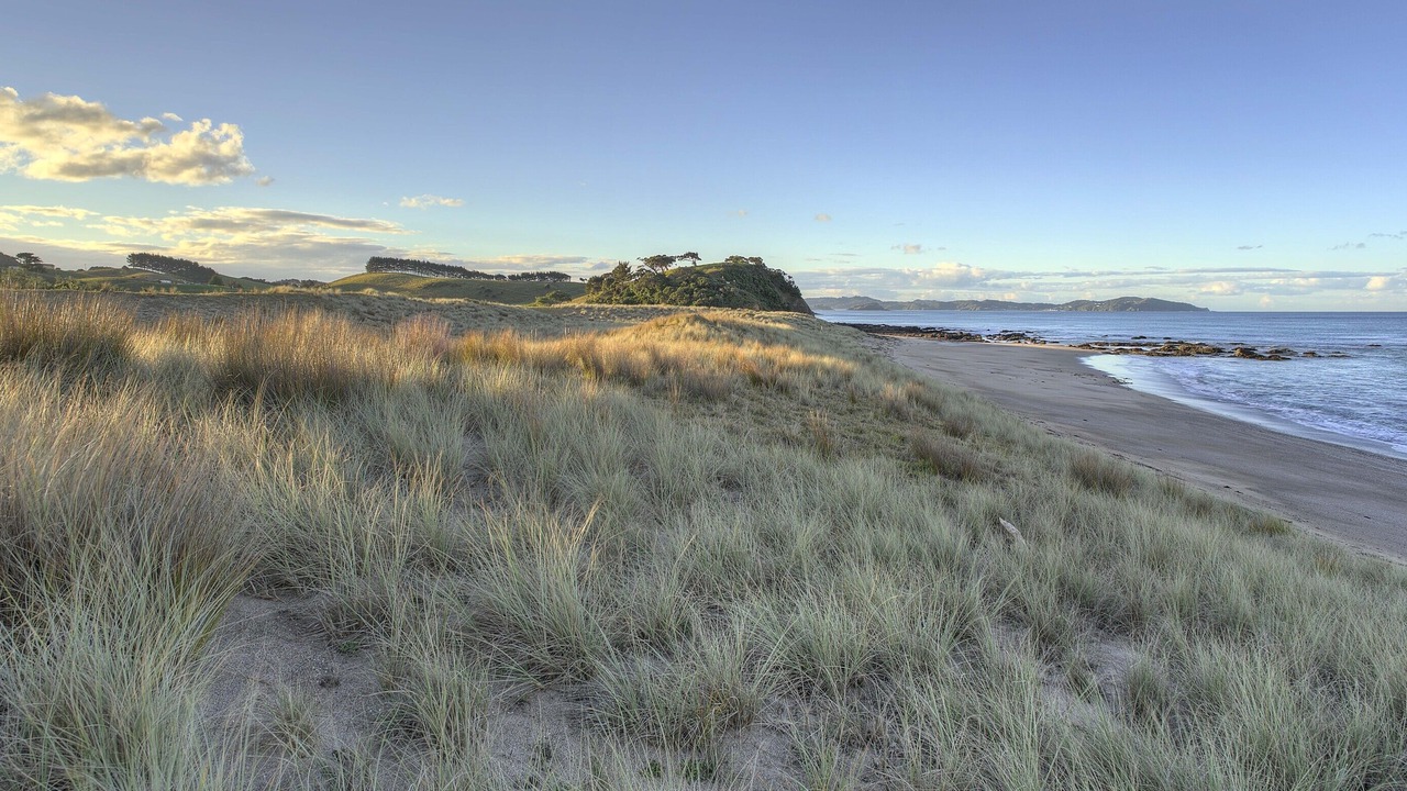 Photo of Others in Pataua North