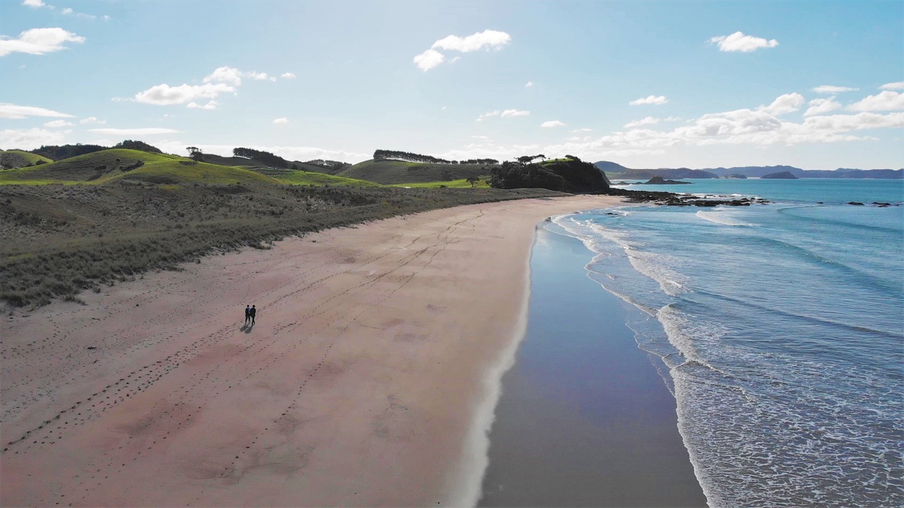 Photo of Others in Pataua North