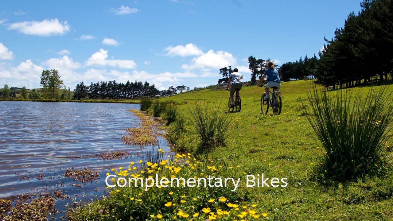 Photo of Others in Pataua North