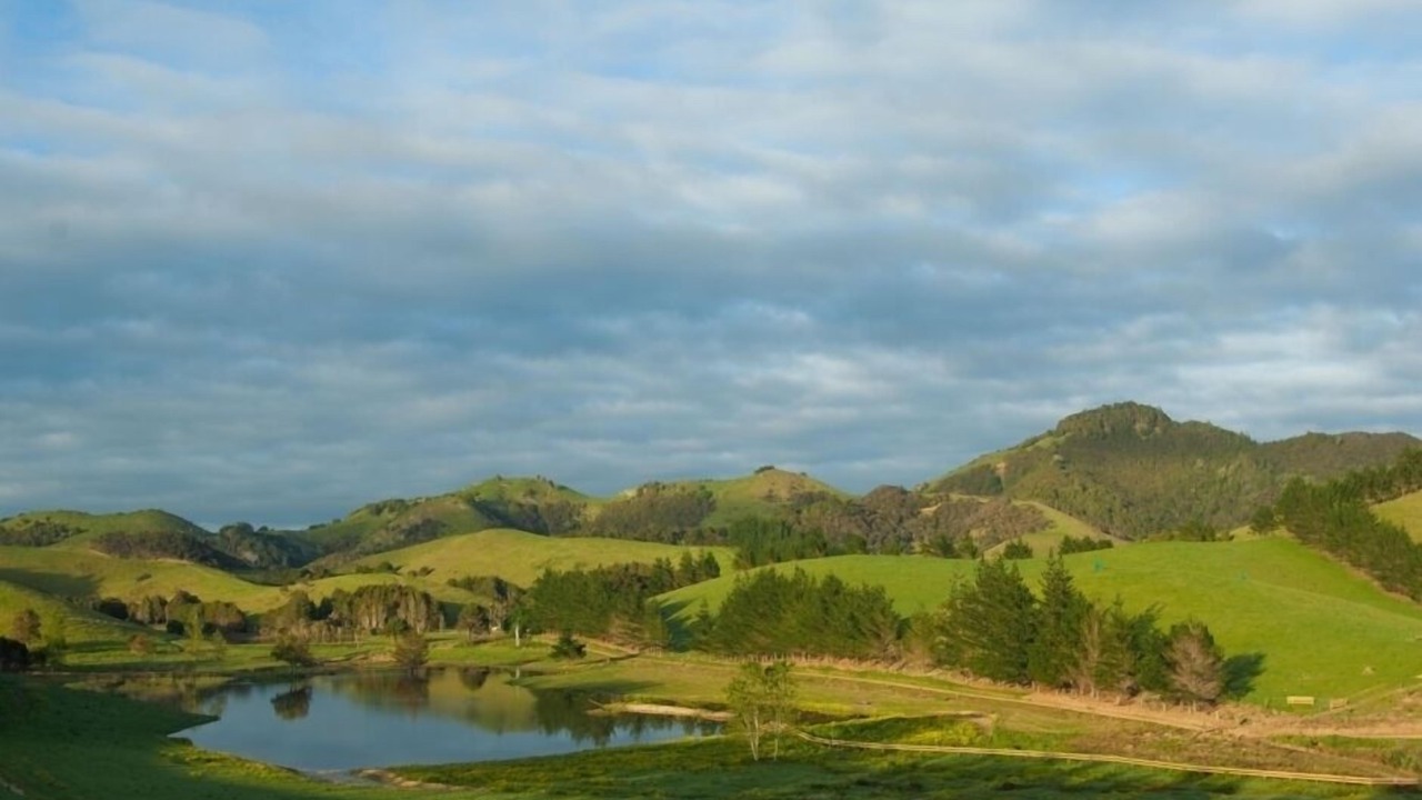 Photo of Others in Pataua North