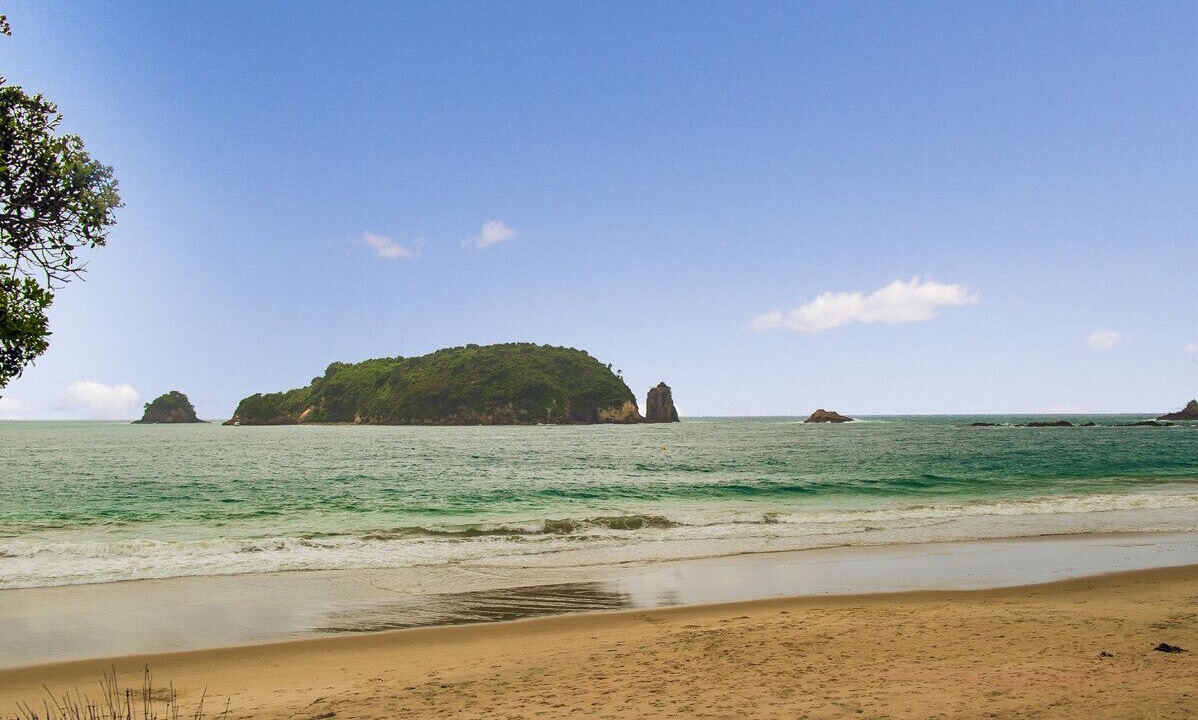 Photo of Others in Hahei