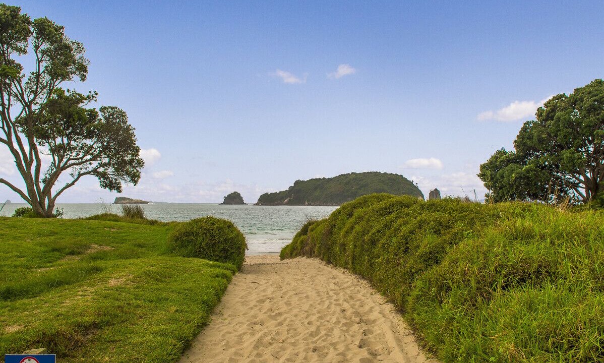 Photo of Others in Hahei