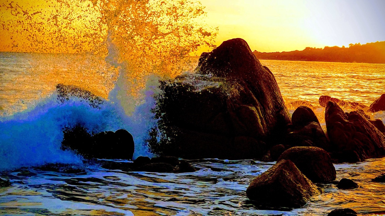 Photo of Others in Porto Pollo