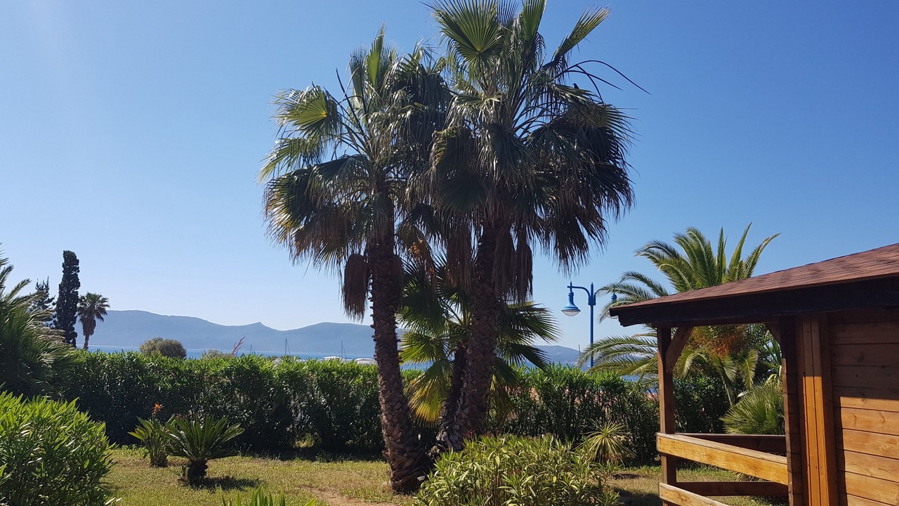 Photo of Others in Porto Pollo